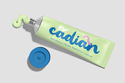Create Paint Bold Calligraphy Font, a Script Font by stylishtype.co (Thumbnail 3 of 20)