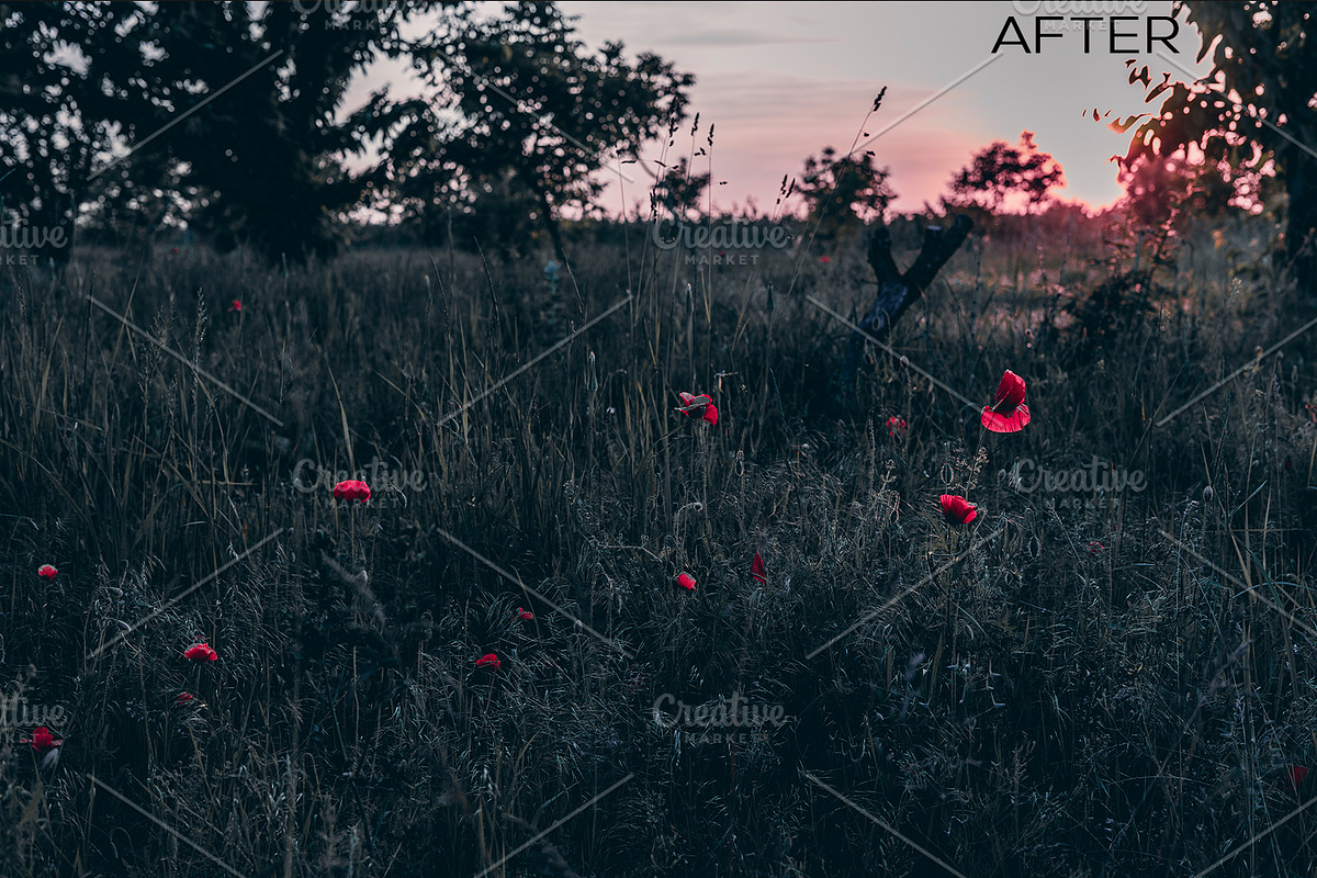 5 Dark tones presets for Lightroom, a Preset Add-On by Elijah (Photo 11 of 16)