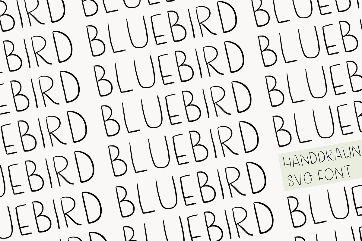 Blue Bird a Handwritten Font preview 2