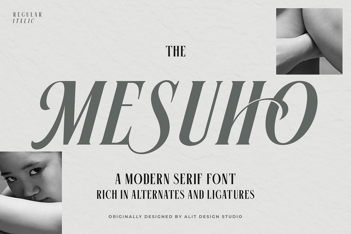 Mesuho Font, a Serif Font by alit design (Photo 1 of 17)
