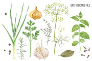 Herbs and spices watercolors, a Healthcare Illustration by handsketched (Thumbnail 5 of 6)