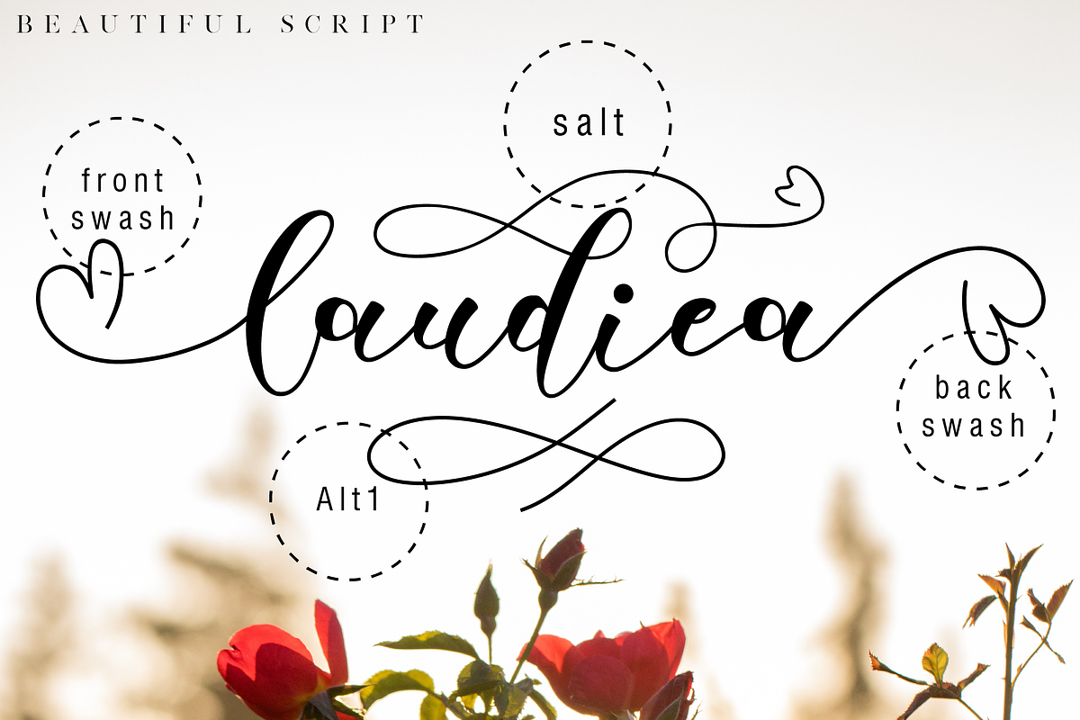 Laudiea // Lovely Script Font preview 6