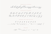 Adore Calligraphy Font, a Script Font by The Styled Script (Thumbnail 5 of 12)
