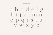 Calista - Classy Elegant Font, a Serif Font by Sensatype (Thumbnail 16 of 21)