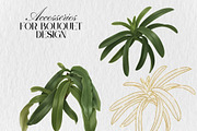 Slipper Orchid Botanical Clipart PNG, a Decorative Illustration by Floraphoria (Thumbnail 8 of 12)