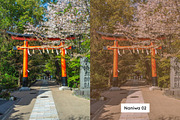 20 Aged Film Lightroom Presets & LUT, a Preset Add-On by SparkleStock (Thumbnail 8 of 13)
