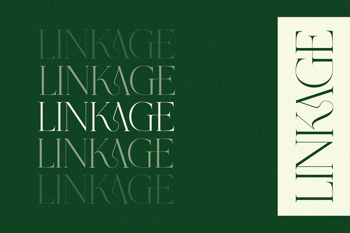 Grass - Serif Font, a Serif Font by Alpaprana (Photo 3 of 10)