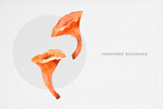 Watercolor Mushrooms Clipart, an Illustration by MilanaDesignShop (Thumbnail 3 of 4)