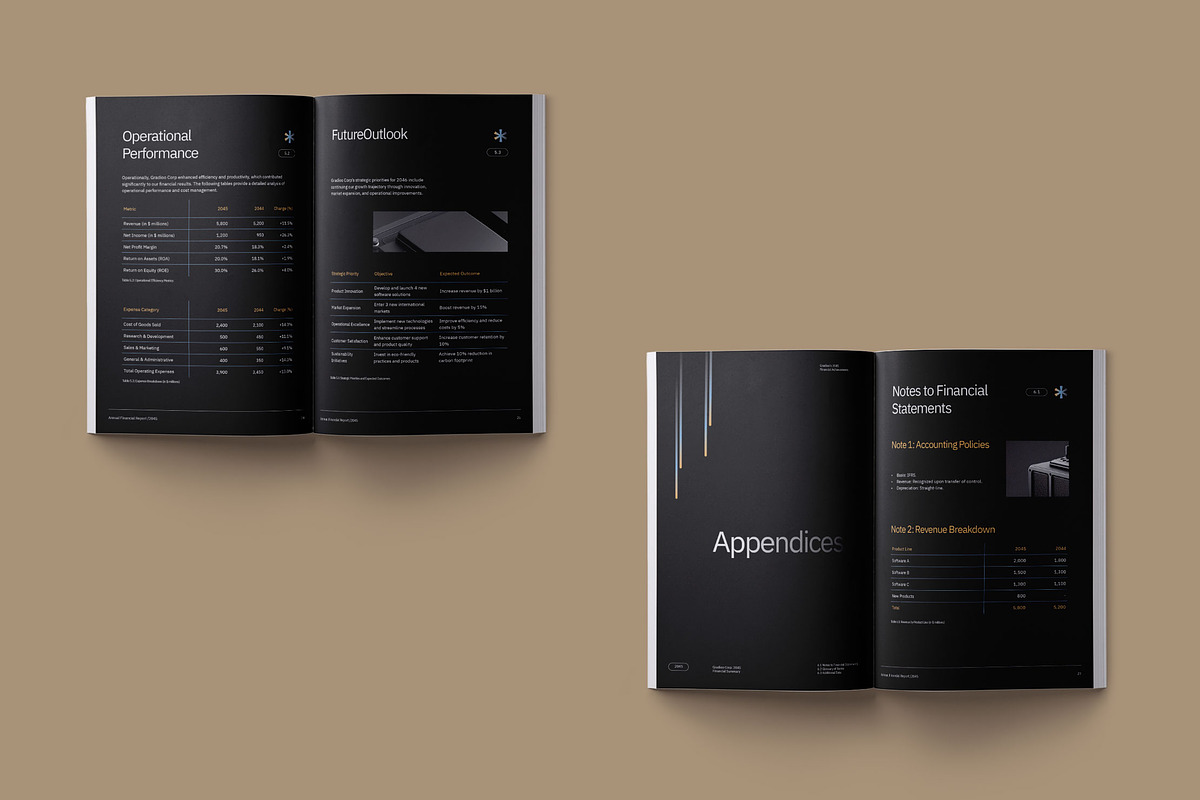 Annual Financial Report - Gradioo preview 7