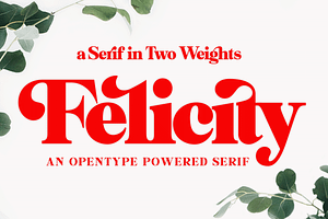 Felicity Serif Typeface