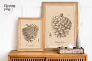Elegant Pine Vintage Vector Set, a Decorative Illustration by Beauty Drops (Thumbnail 6 of 9)