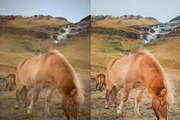 LIGHTROOM PRESETS ICELAND! travel, an Action Add-On by Graphics, Presets, Photos (Thumbnail 44 of 58)