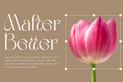 Mafter Elegant Serif Typeface, a Serif Font by Alfinart (Thumbnail 2 of 10)