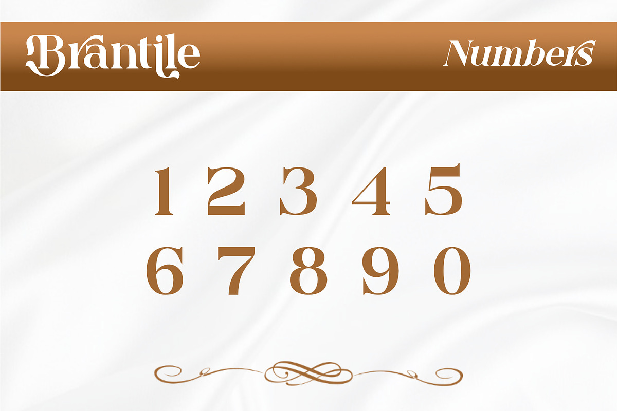 Brantile - Modern Serif Display Font, a Serif Font by Rishsketch (Photo 10 of 14)