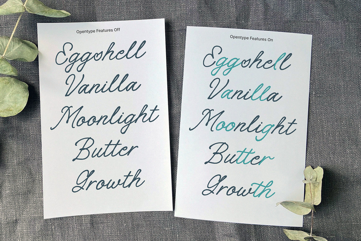 Meadow Anthem, a Handwritten Font by Nathatype (Photo 9 of 11)