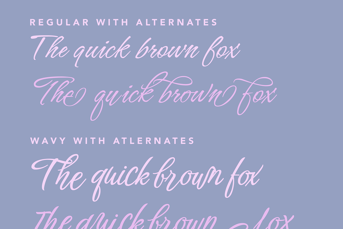 Silgar Vintage Script, a Script Font by Creative Foundry (Photo 3 of 8)