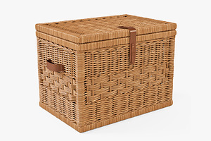 Wicker Storage Trunk 05 Toasted Oat