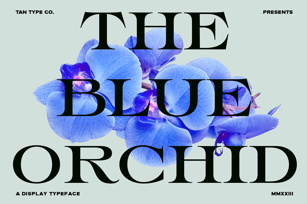 TAN - THE BLUE ORCHID, a Serif Font by TanType (Photo 1 of 12)