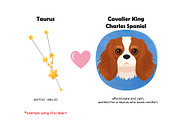Zodiac signs and dog breeds clipart, an Animal Illustration by Art and Funny (Thumbnail 9 of 10)