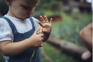 Toddler holding freshly harvested, a Nature Photo by HalfPoint