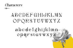 Rafailla - Display Serif Font