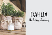 Rustic Pantry Font, a Script Font by QualityGraphics (Thumbnail 4 of 10)