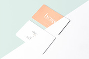 Rounded Business Card Mockup, a Print Template by Graphicnugget (Thumbnail 5 of 9)