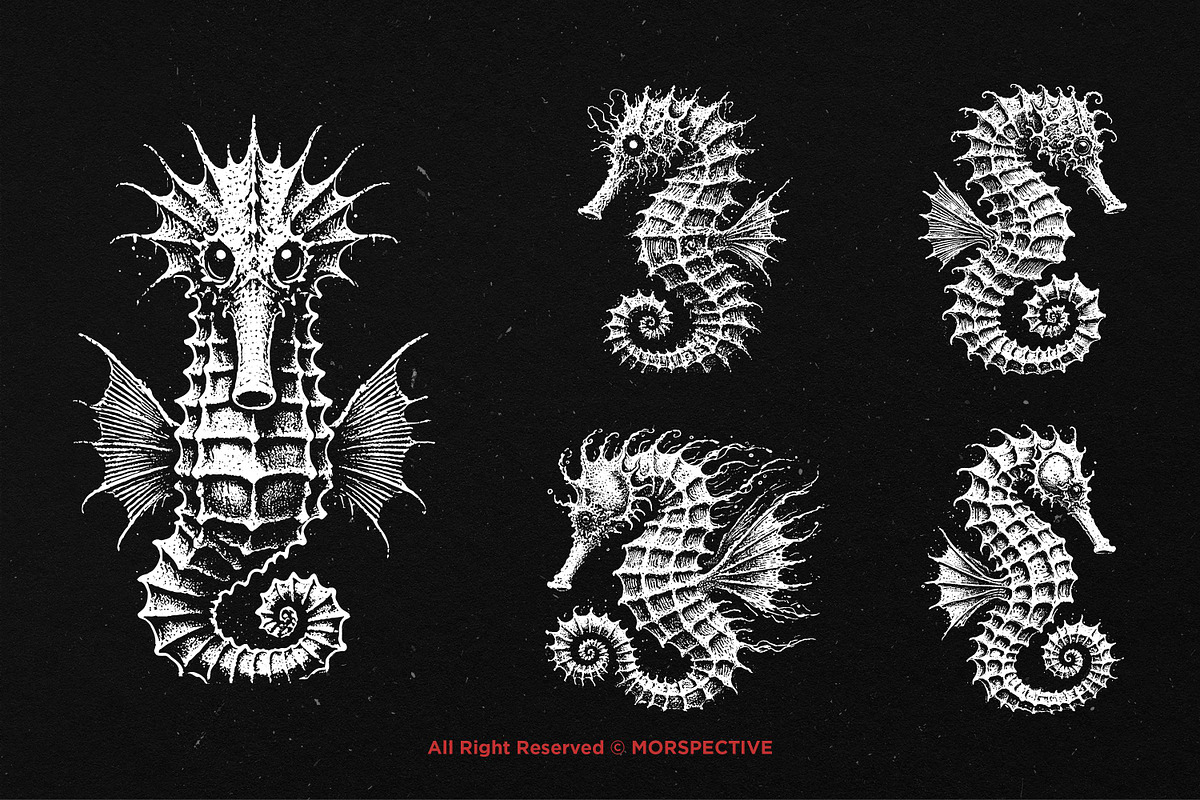 10 Bundle Dark Art Seahorse Sea, an Illustration by Morspective (Photo 5 of 7)