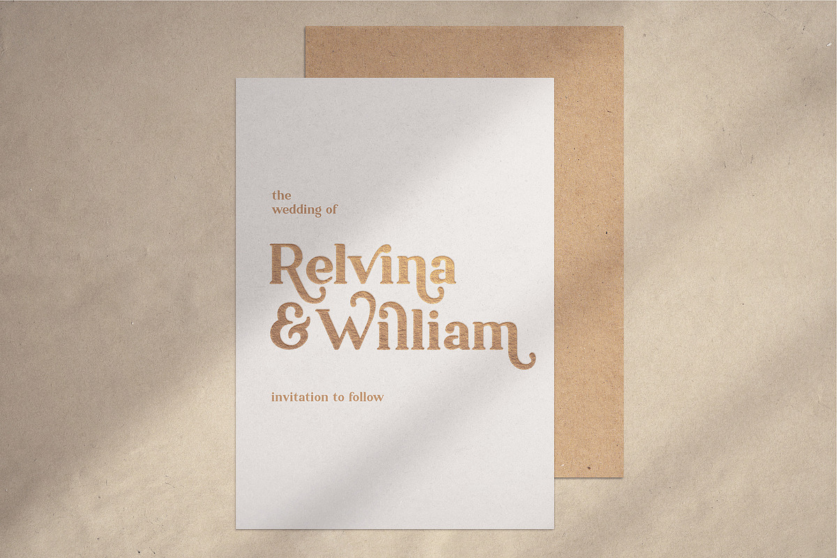 Ambigue Wild Modern x Vintage Serif, a Serif Font by Wandery Supply (Photo 12 of 22)