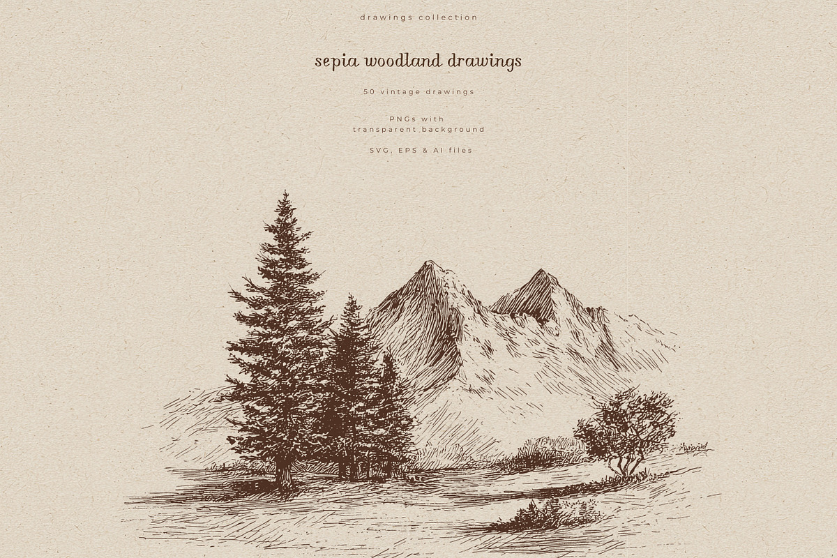 Sepia Woodland Drawings, an Animal Illustration by PeDe Designs (Photo 3 of 15)