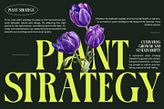 Tronse Elegant Serif Font, a Serif Font by Perfectype (Thumbnail 4 of 8)