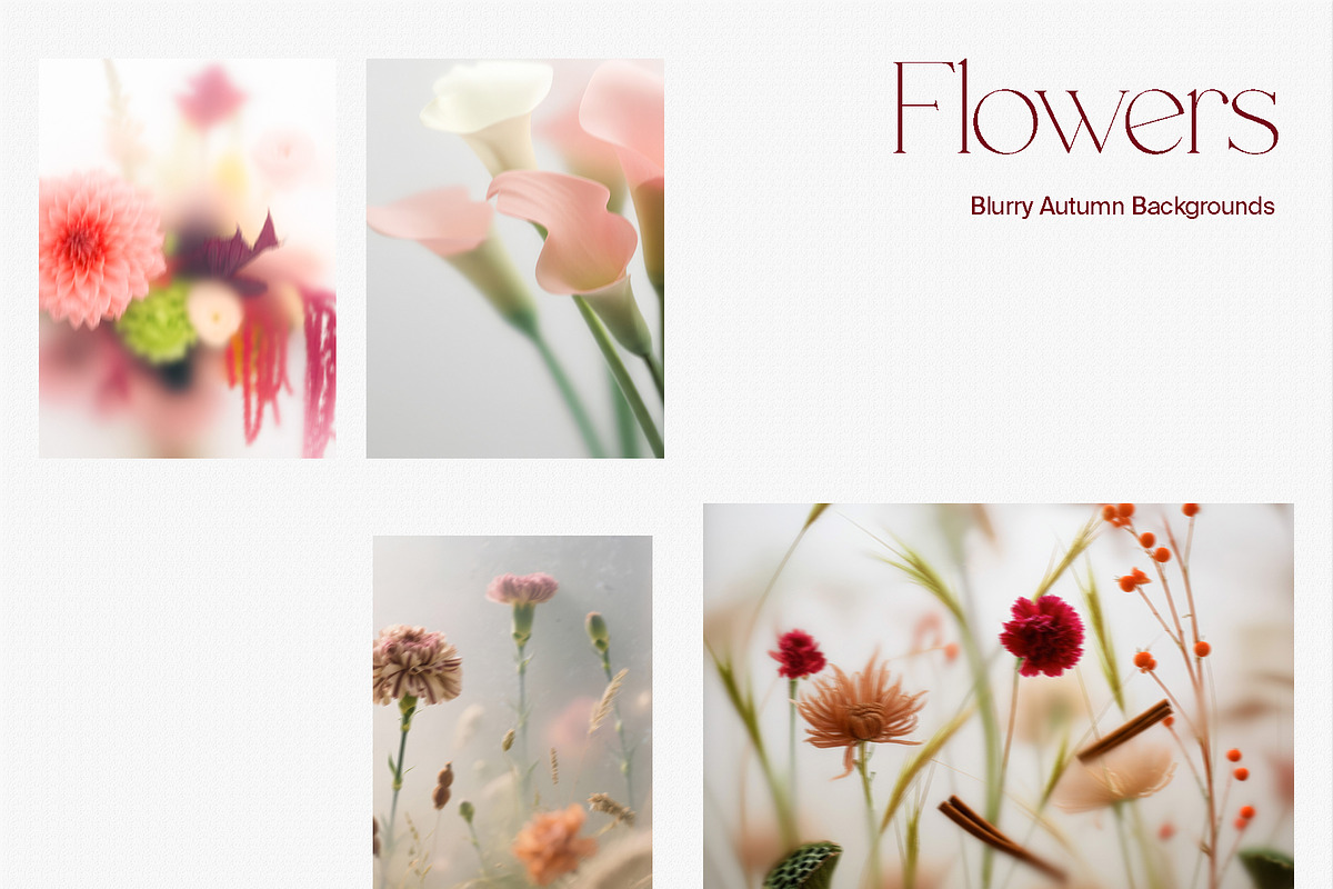 Harvest – Blurry Autumn Backgrounds, a Background Graphic by divanovskaya_nv (Photo 12 of 18)