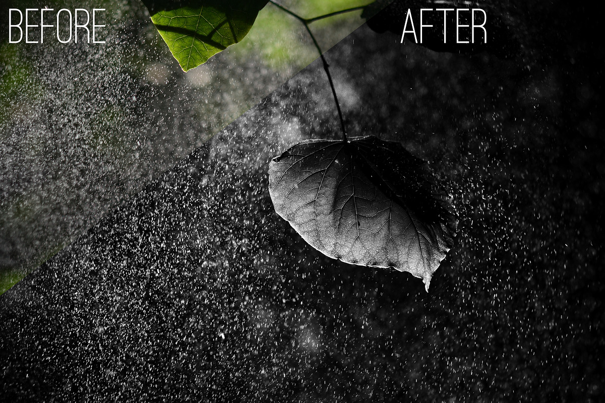 5 B&W Pro Film Actions preview 4