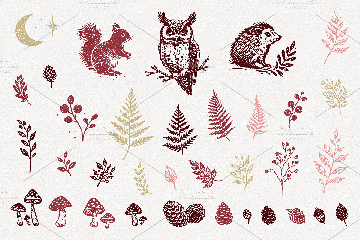 Woodland Mystic Animals & Botanical, a Decorative Illustration by Christine Krahl (Photo 11 of 12)