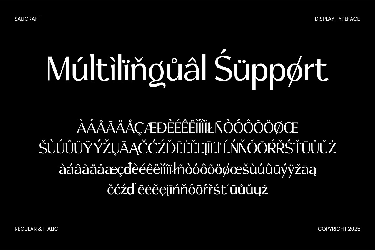 Salicraft, a Serif Font by Gatype (Photo 7 of 10)