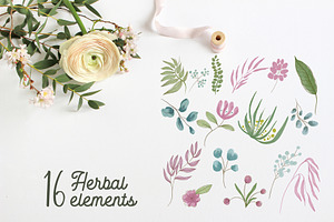 Herbal Spring Watercolor Collection