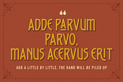 Bridge Gardens - Modern Vintage, a Serif Font by Letterhend Studio (Thumbnail 7 of 9)