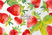 Fruit & Vegetable Watercolor Bundle, a Decorative Illustration by Olga Begak Art & Design (Thumbnail 12 of 13)