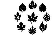bio eco tree leaf ecology nature, an Illustration by Amazin_art (Thumbnail 4 of 29)