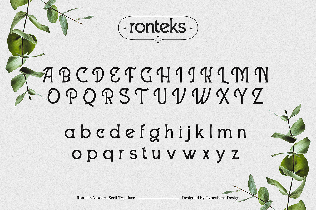Ronteks, a Serif Font by ilhamtaro (Photo 9 of 12)
