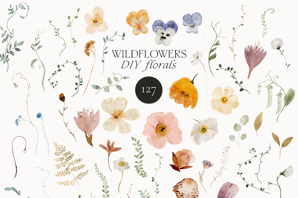 WILDFLOWERS tiny watercolor floral, a Decorative Illustration by Lana Elanor (Photo 6 of 15)