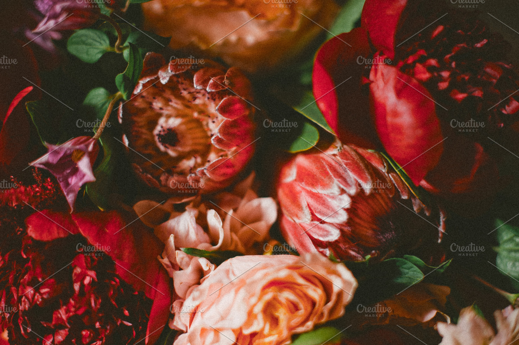 Bunch of Bright Red Flowers, a Holiday Photo by Nine Photography