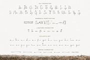 The Camellia - Modern Handwritten, a Handwritten Font by Bluestype Studio (Thumbnail 8 of 8)