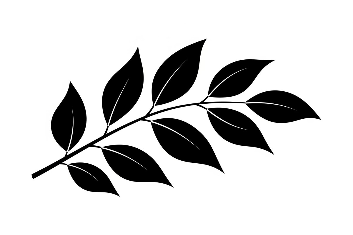 Botanical Leaf Silhouette Bundle, an Illustration by yasushie (Photo 8 of 51)