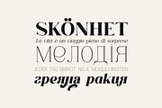 Consumer Type - elegant font family, a Serif Font by VP Fonts (Thumbnail 9 of 18)