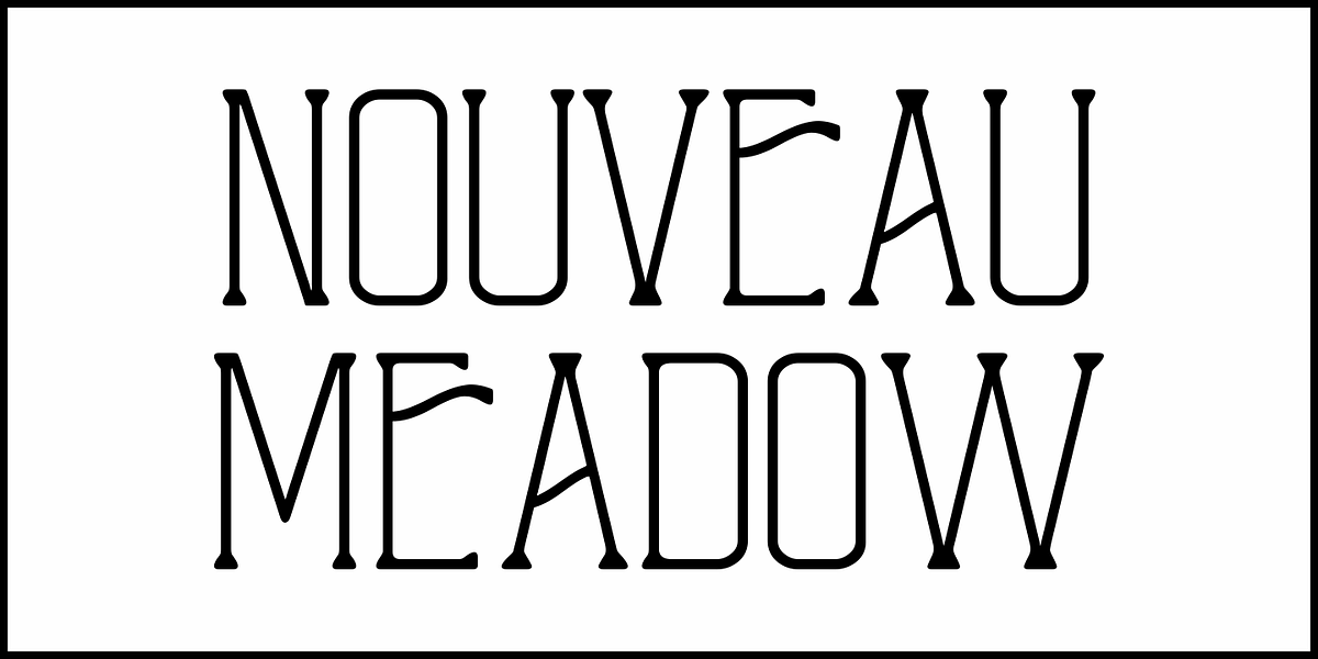 Nouveau Meadow JNL, a Serif Font by Jeff Levine Fonts (Photo 2 of 5)