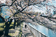 Kodak Ultramax Lightroom Presets, a Preset Add-On by Daily Studio (Thumbnail 9 of 10)