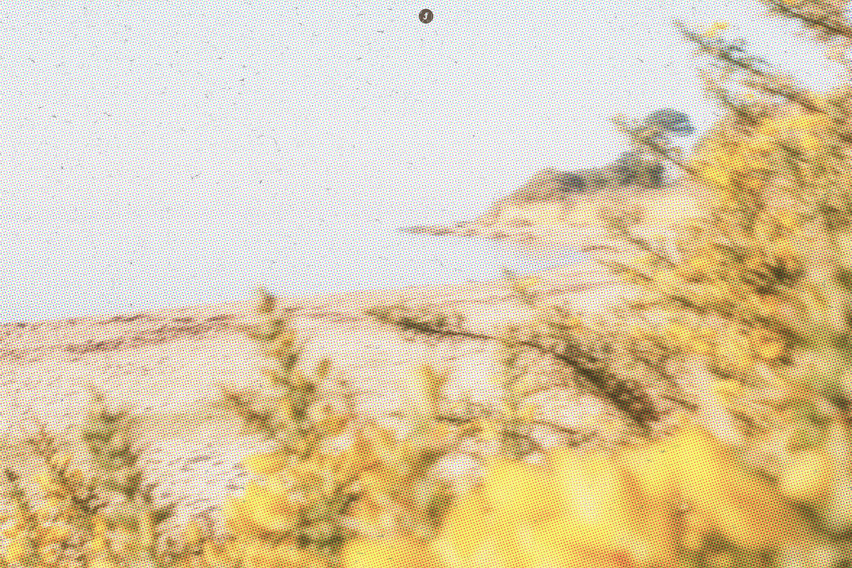 Dreamy Print Photo Effect, a Layer Style Add-On by Freezerondigital (Photo 6 of 13)