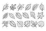 Hand Drawn Fall Leaves Clipart, a Seasonal Illustration by LemonDesign (Thumbnail 2 of 3)