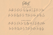 Ballest - Monoline Signature Font, a Script Font by Azcreative Studio (Thumbnail 8 of 9)